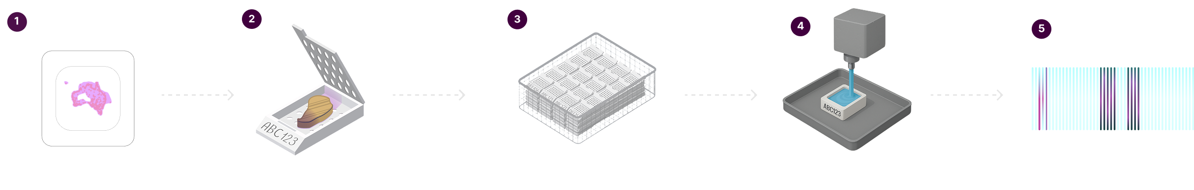 Slide 0