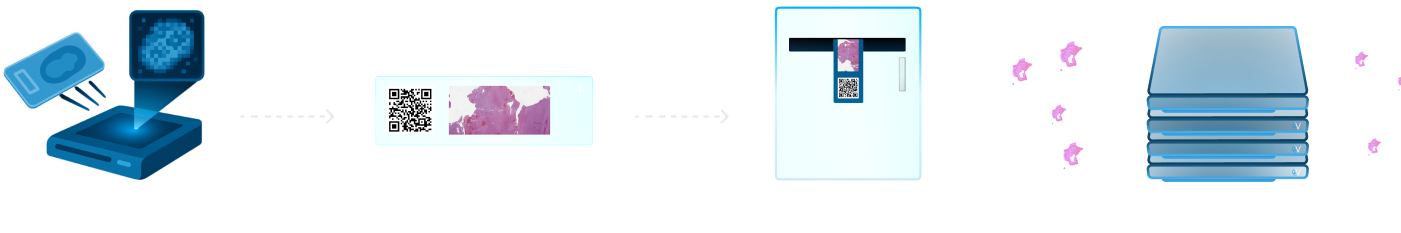Slide 0